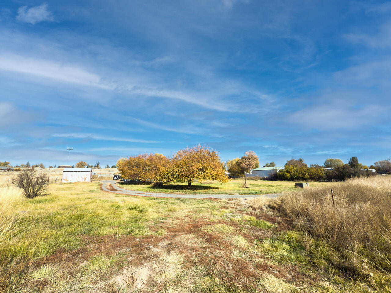 Elmwood Park - Residential