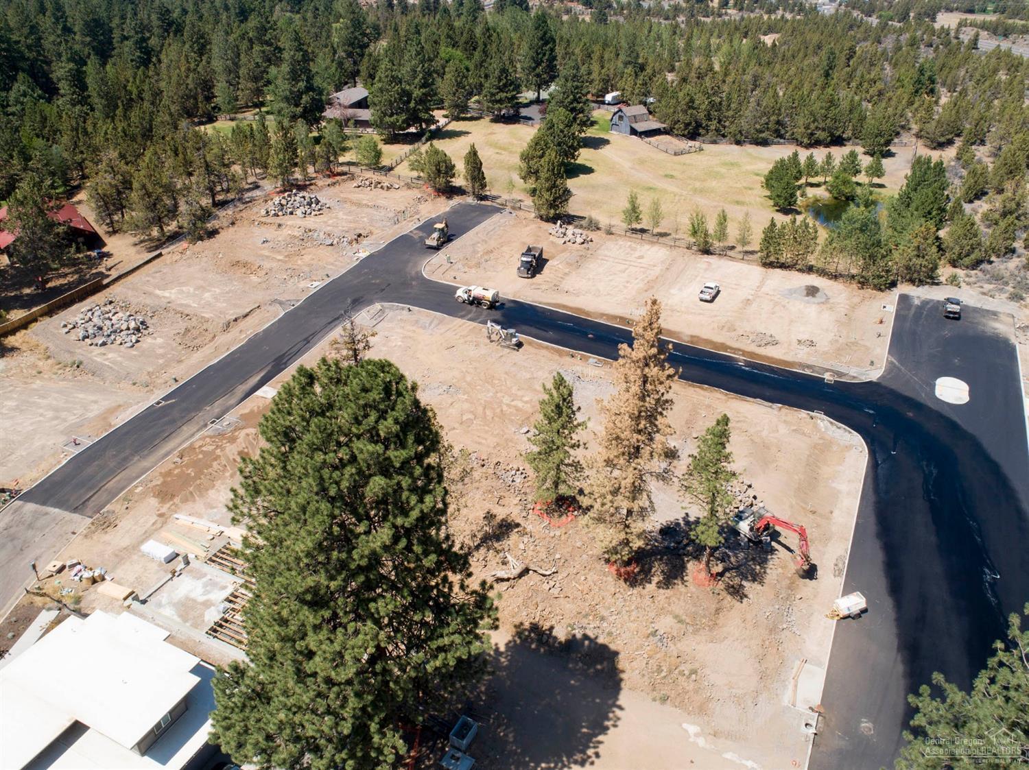 Northwest Woodlands - Land