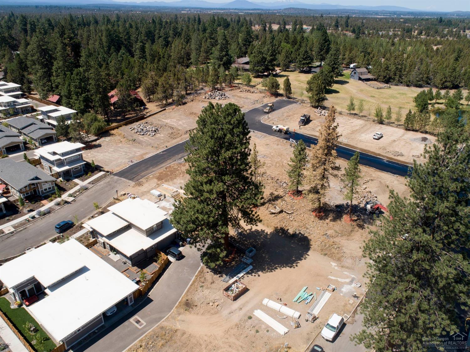 Northwest Woodlands - Land