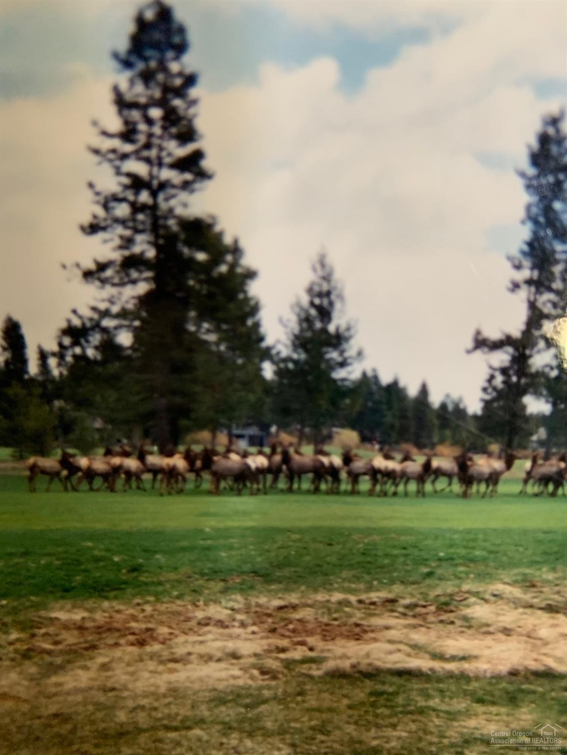 Eaglewood - Residential