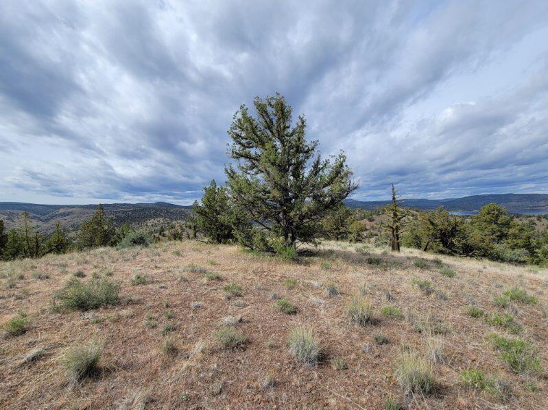 2608 SE Doubtful Dirt Road