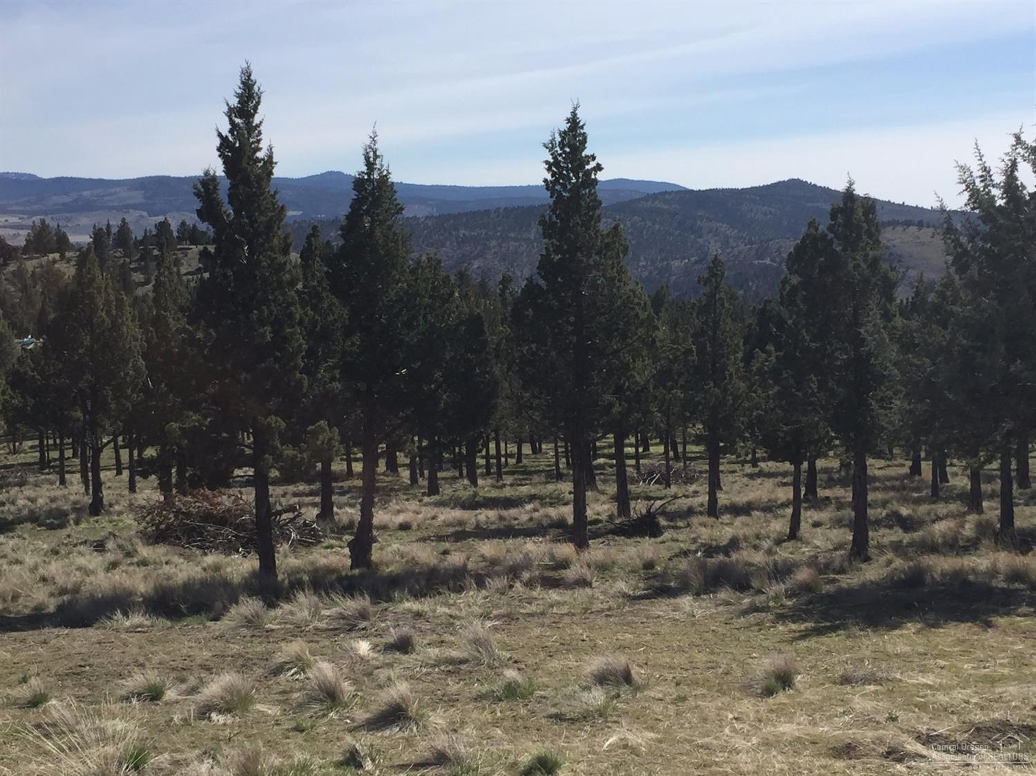 Riverside Ranch - Residential