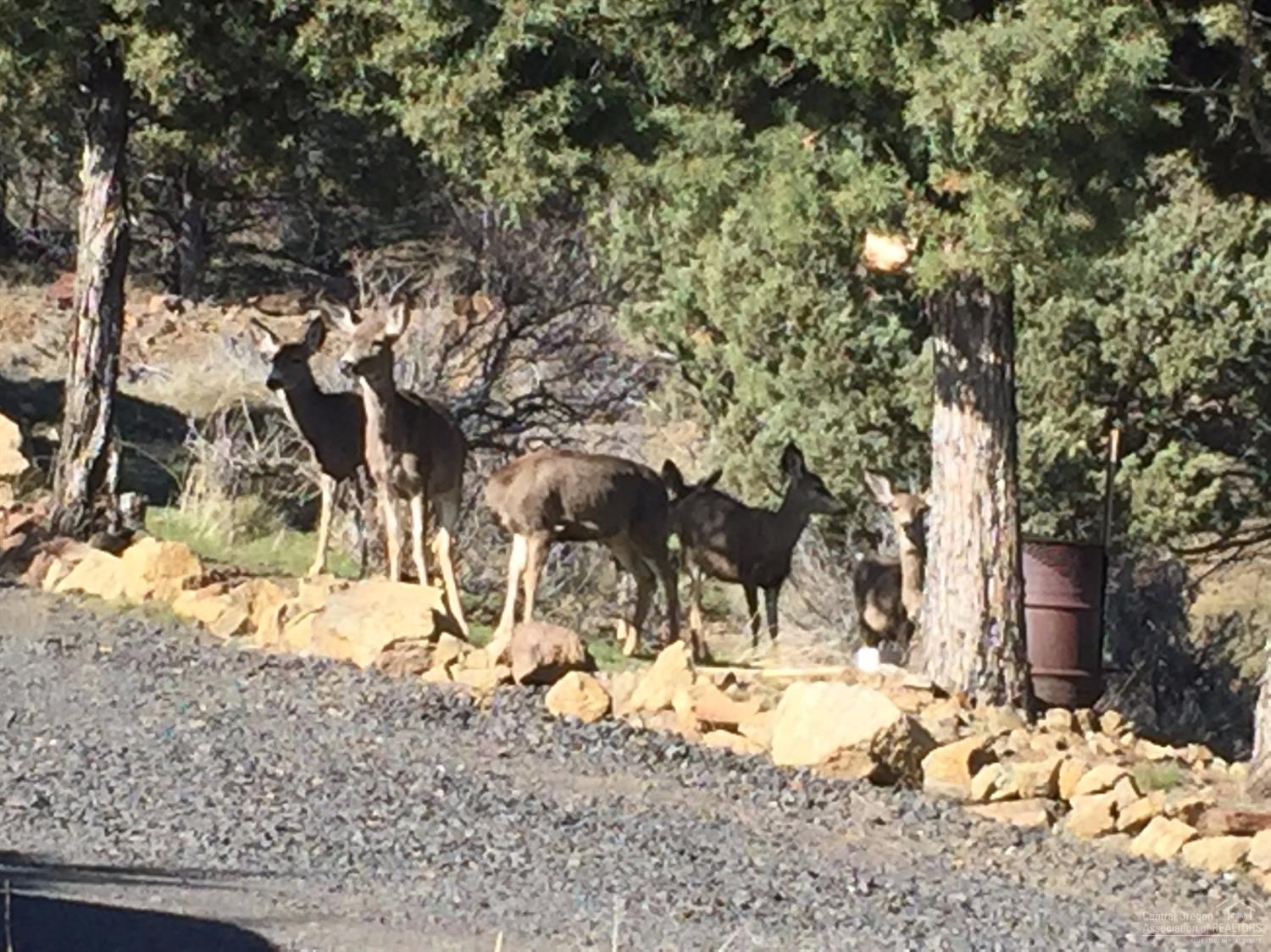 Riverside Ranch - Residential