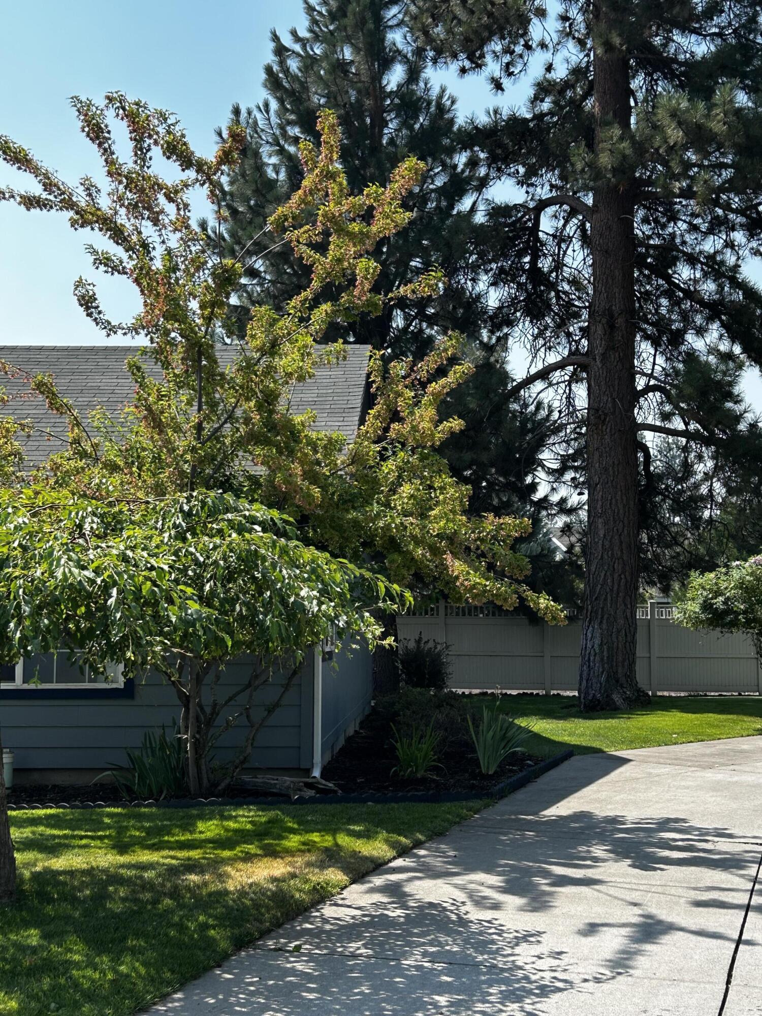 Pines At Sisters - Residential