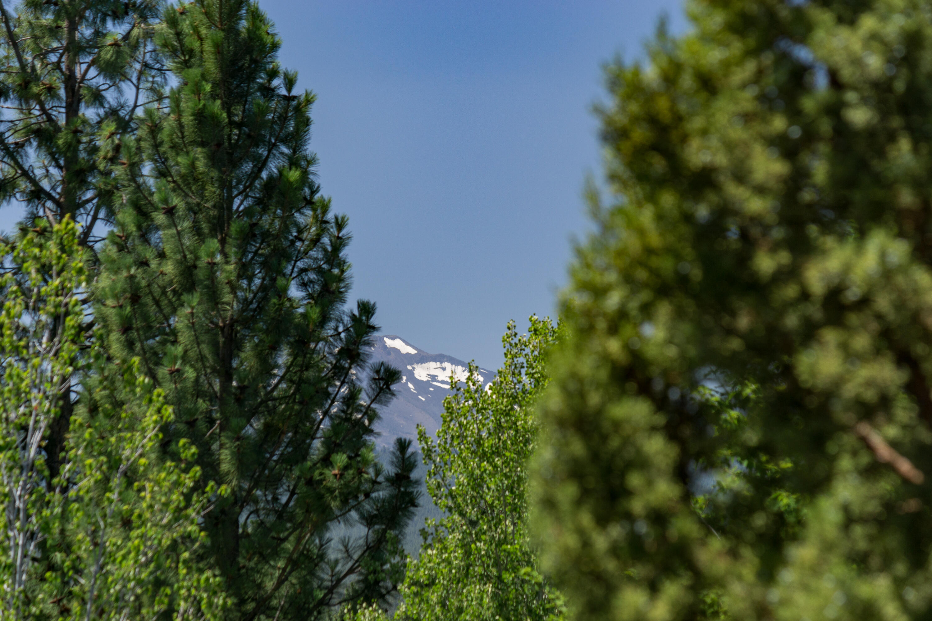 Skyliner Summit - Residential