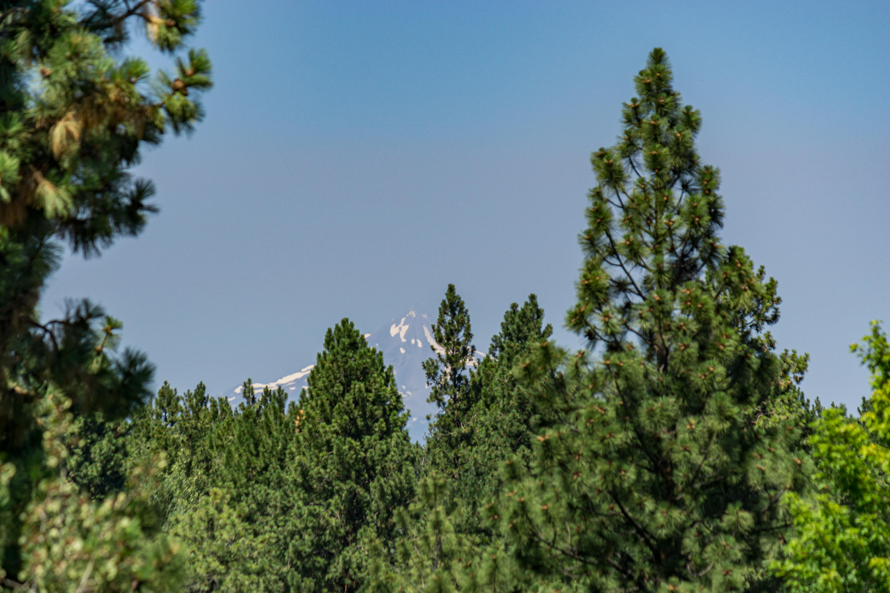 Skyliner Summit - Residential