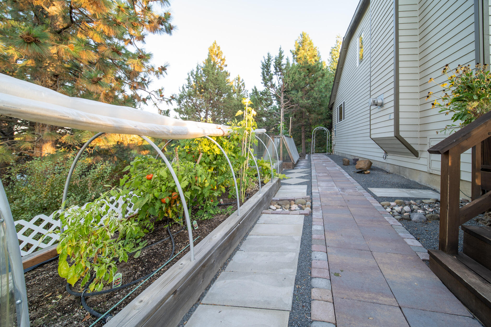 Elkhorn Ridge - Residential