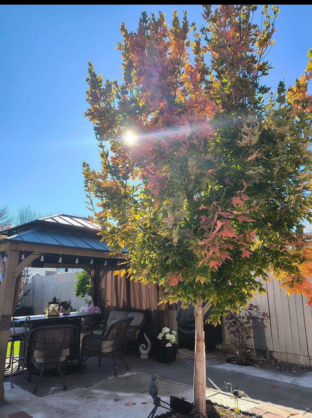 Merrymans' Replat -Vacated Part Of Old Orchard Monor - Residential