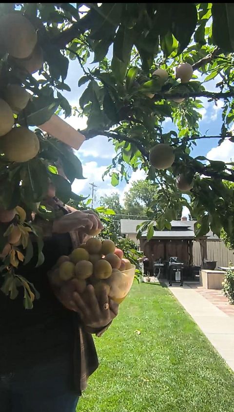 Tiny photo for 2816 Reclamation Avenue, Klamath Falls, OR 97603 (MLS # 220212040)