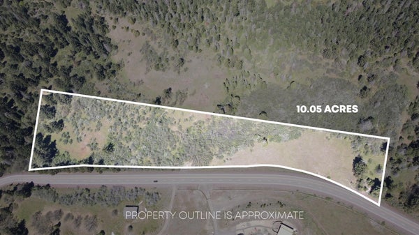 DEAD INDIAN MEMORIAL RD 101, ASHLAND, OR 97520 - Image ff86a8cd9e847d847f14e4e26a47860c/3997199941