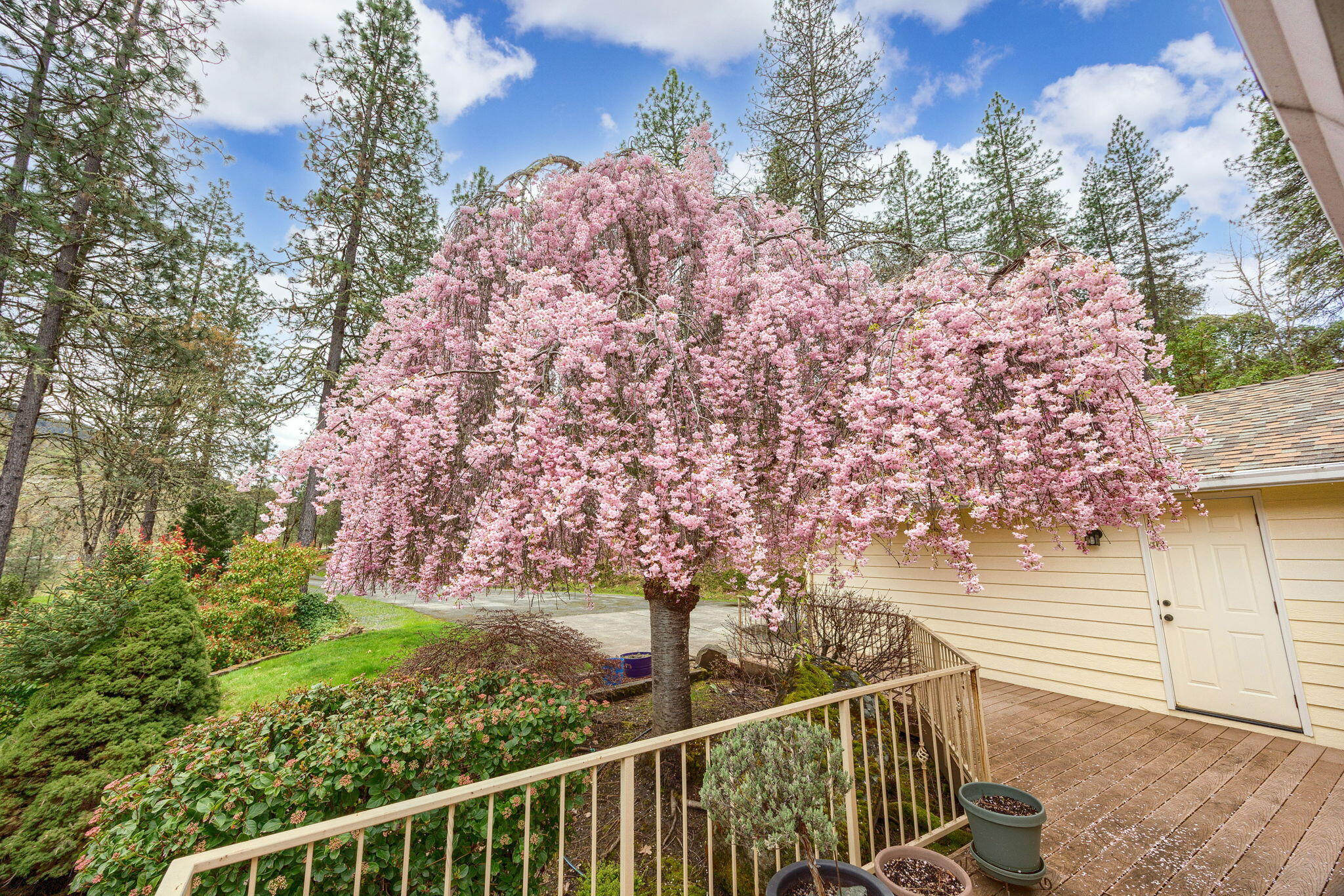 4280 Cloverlawn Drive