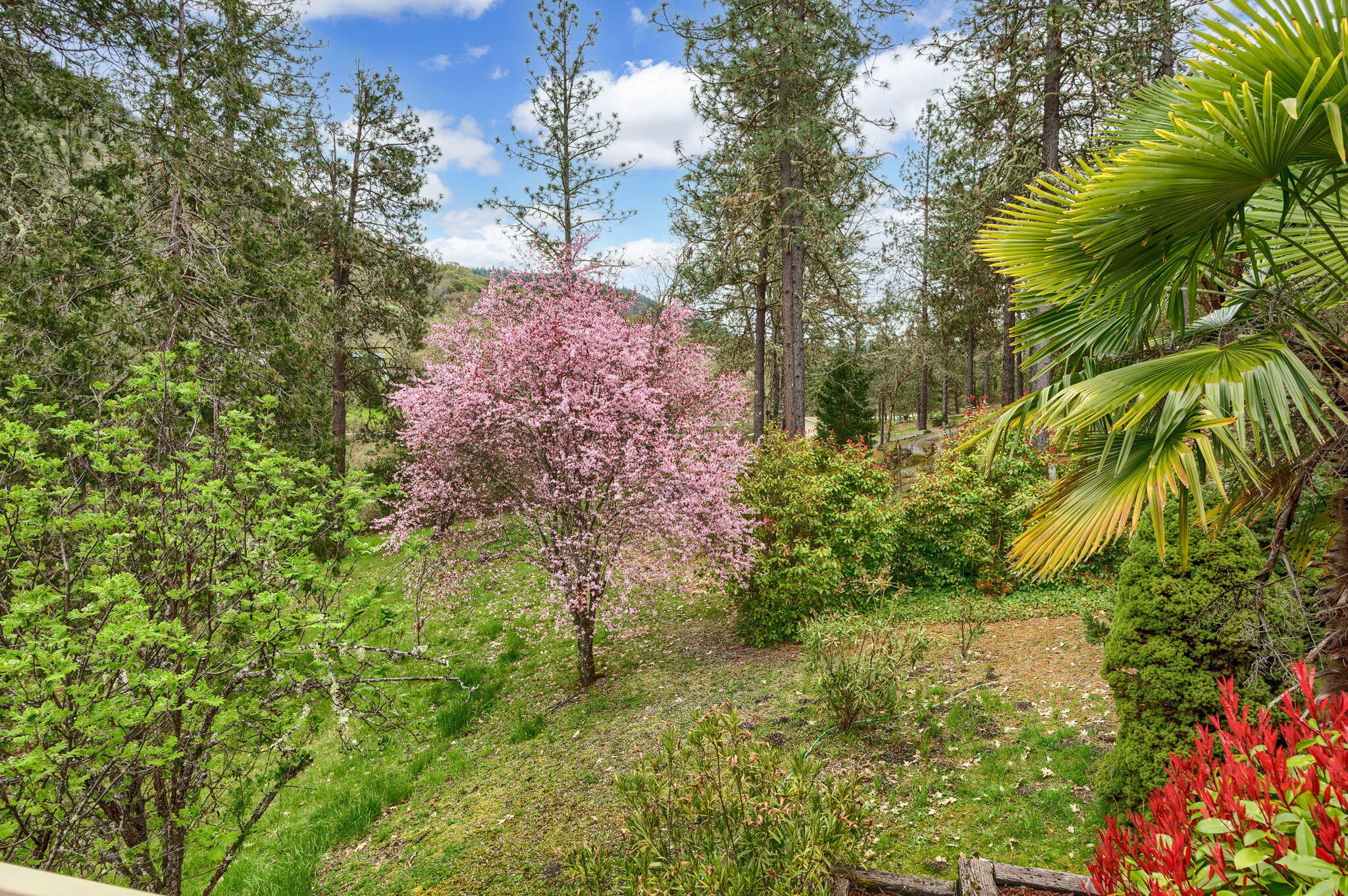 Cloverlawn Heights Subdivision - Residential