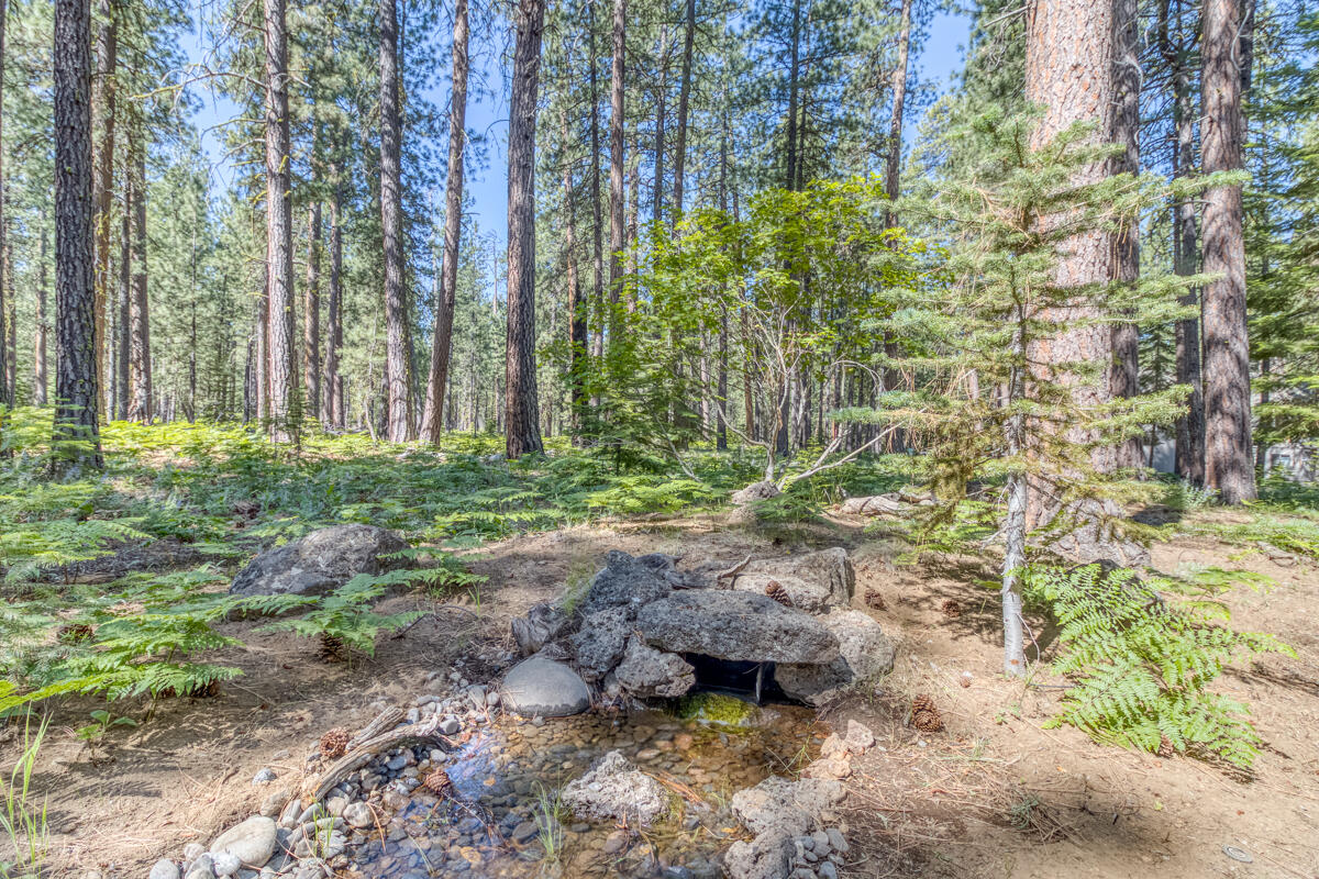 Black Butte Ranch - Residential