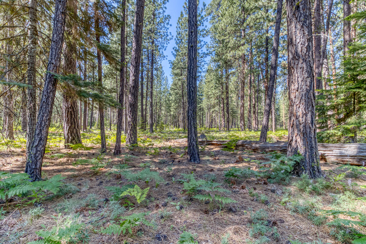 Black Butte Ranch - Residential