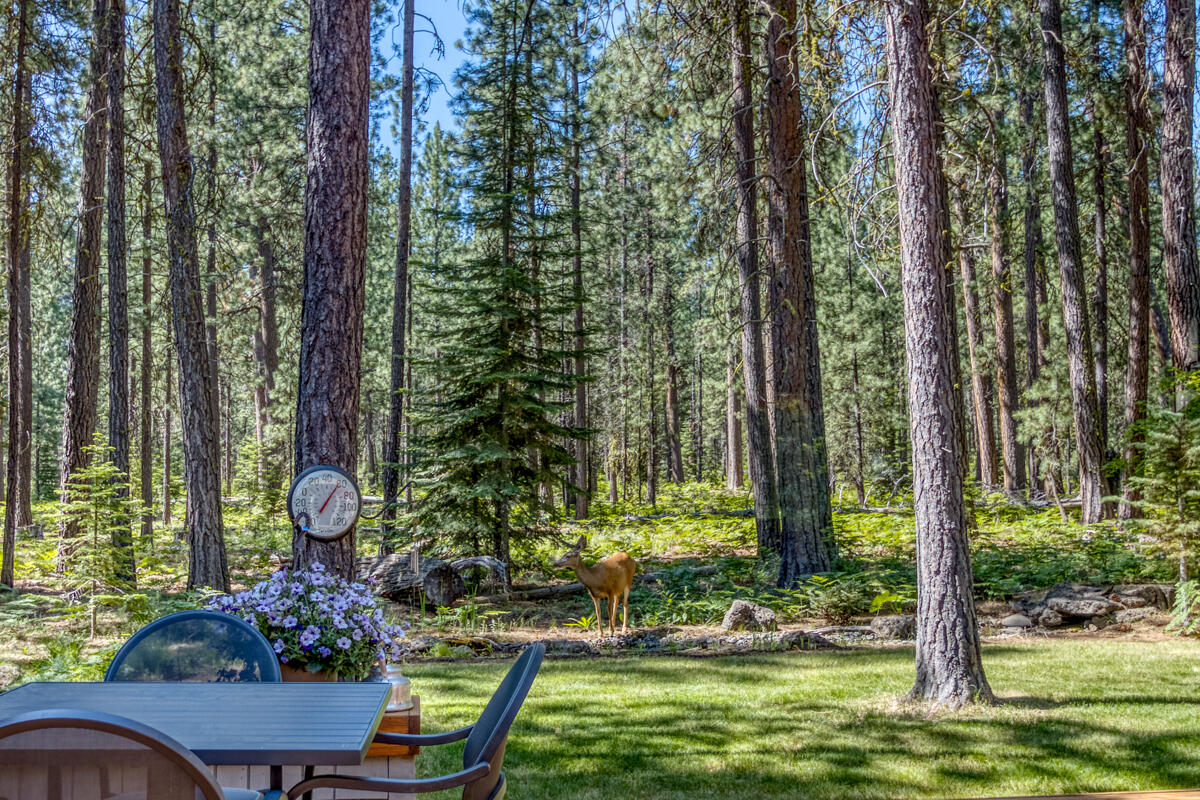 Black Butte Ranch - Residential