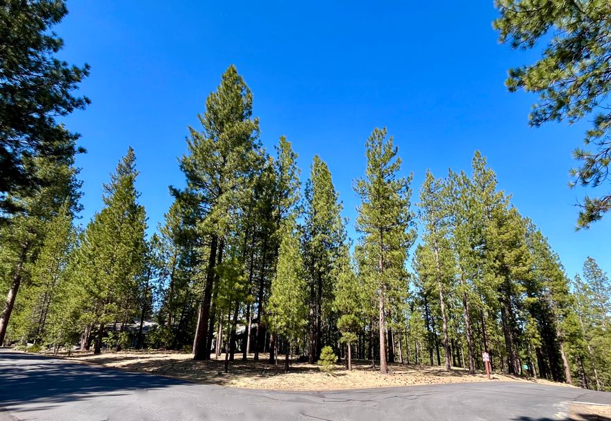 Presenting one of the few remaining undeveloped lots  just footsteps from the scenic rushing waters of the Upper Deschutes River and Pringle Falls!  This .44 acre elevated parcel features a commanding overlook of old growth pine forest, filtered views of the historic otter pond and big river, and a level building site with a gentle eastward slope conducive to a daylight basement vacation getaway or full-time respite from a busy world.  Here is a groomed lot in a compelling location, surrounded by fine custom homes in the Wild River community where residents enjoy friendly CCR's, paved roads, underground utilities, community water, nature trails, and direct access to miles of National Forest for all-season recreation.  A best of all worlds opportunity -- a special residential building site in a tranquil location, while just a few minutes' drive from the array of unparalleled activities and events in Sunriver and Bend!