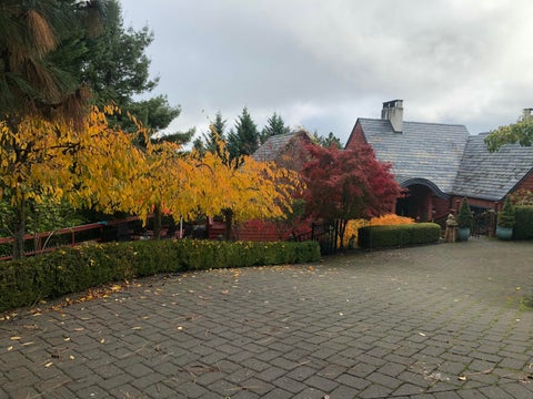 Tiny photo for 443 Conestoga Drive, Jacksonville, OR 97530 (MLS # 220223492)