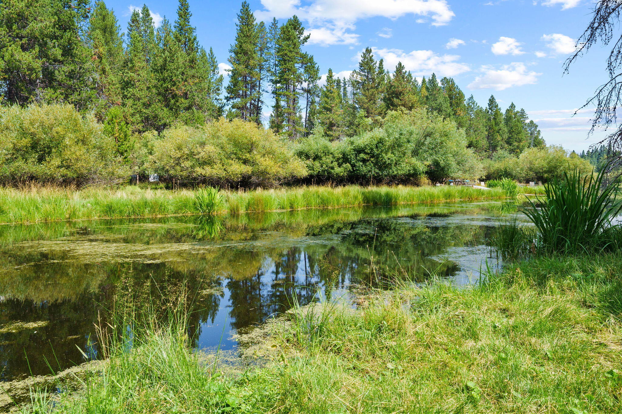 Deschutes River Recreation Homesites - Residential