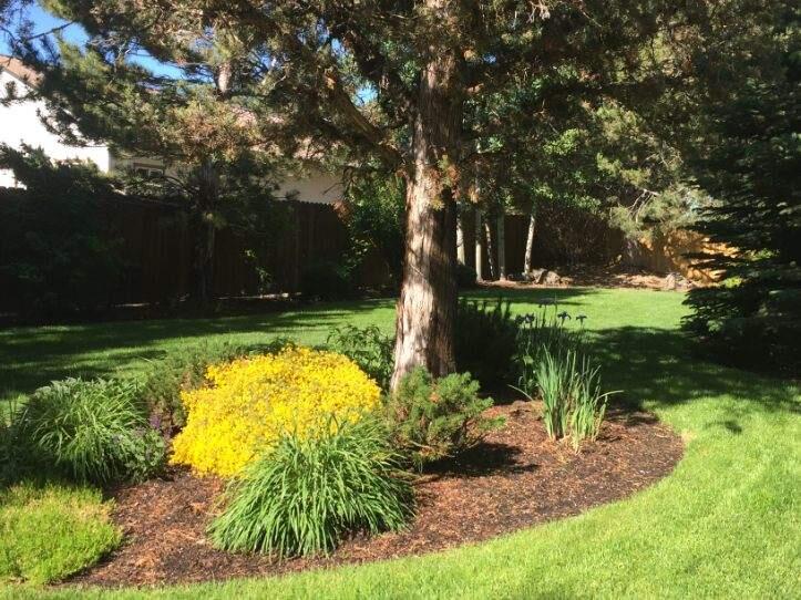 Ponderosa Estates - Residential