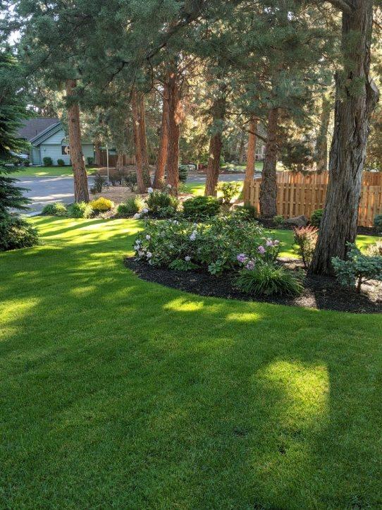 Ponderosa Estates - Residential