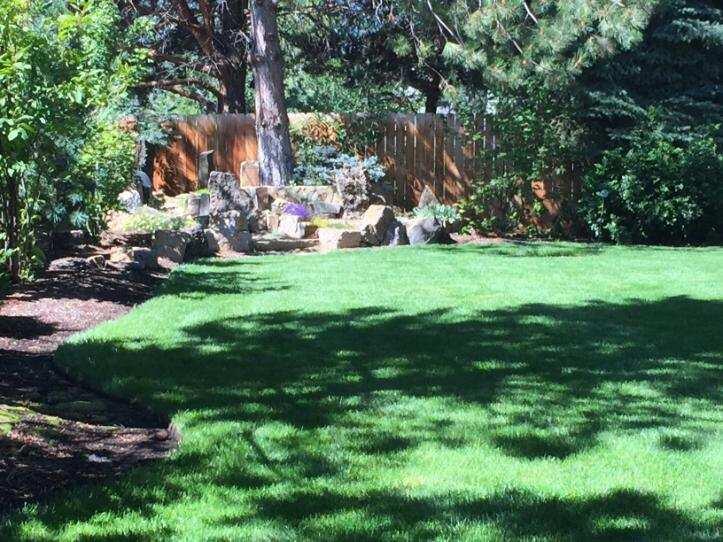 Ponderosa Estates - Residential