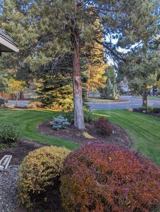 Ponderosa Estates - Residential