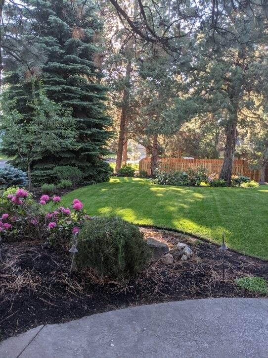 Ponderosa Estates - Residential