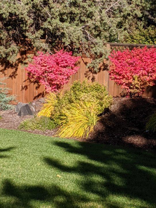 Ponderosa Estates - Residential