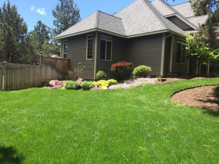 Ponderosa Estates - Residential