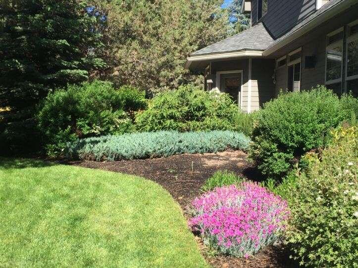 Ponderosa Estates - Residential