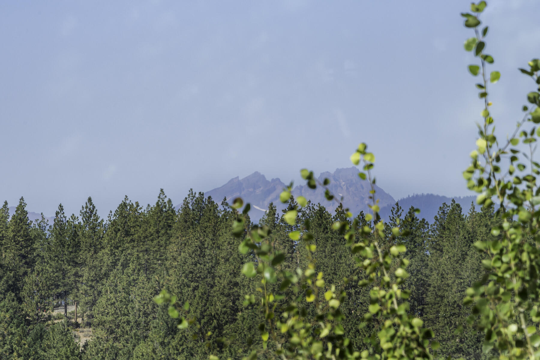 Shevlin Reserve - Residential