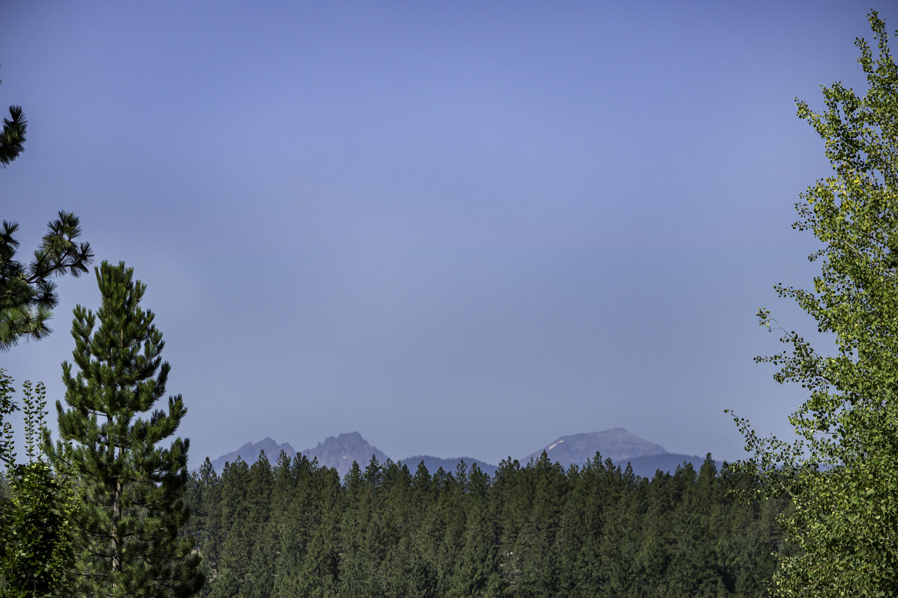 Shevlin Reserve - Residential