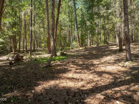 Tiny photo for 5060 Jumpoff Joe Creek Road, Grants Pass, OR 97526 (MLS # 220224115)