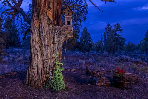 Tiny photo for 63170 Fremont Road, Bend, OR 97701 (MLS # 220219774)