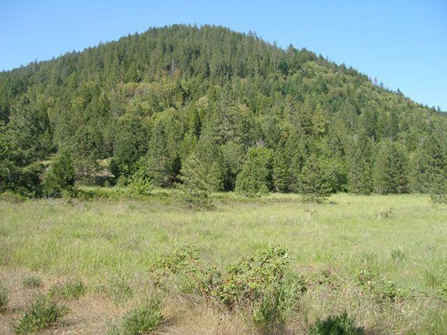 17.3 acres of mountain views and serene pasture waiting for your creative ideas to develop. So many choices for potential home sites, so do you choose, along the pasture or on the side of the mountain. There is an undeveloped 1935 Browning spring water right for a water source or just use as a wildlife attraction and is a bonus to the 1870 Grave Ck water rights given to this site. Water rights may need to be perfected. You just need to walk the property, and you will decide to buy.