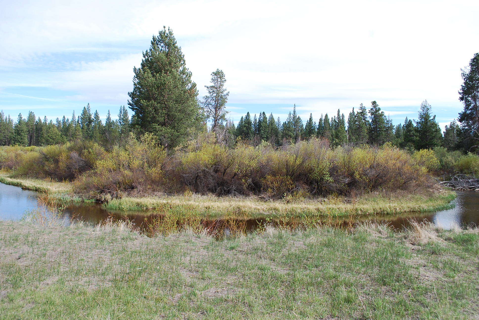 Deschutes River Acre - Land