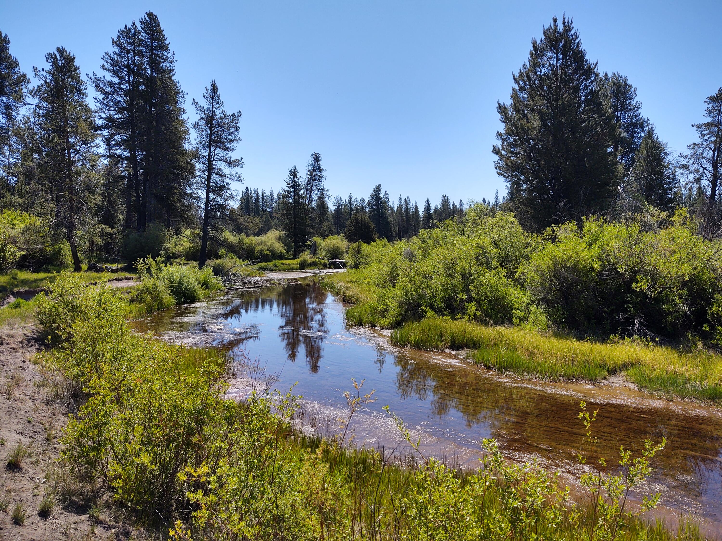 Deschutes River Acre - Land