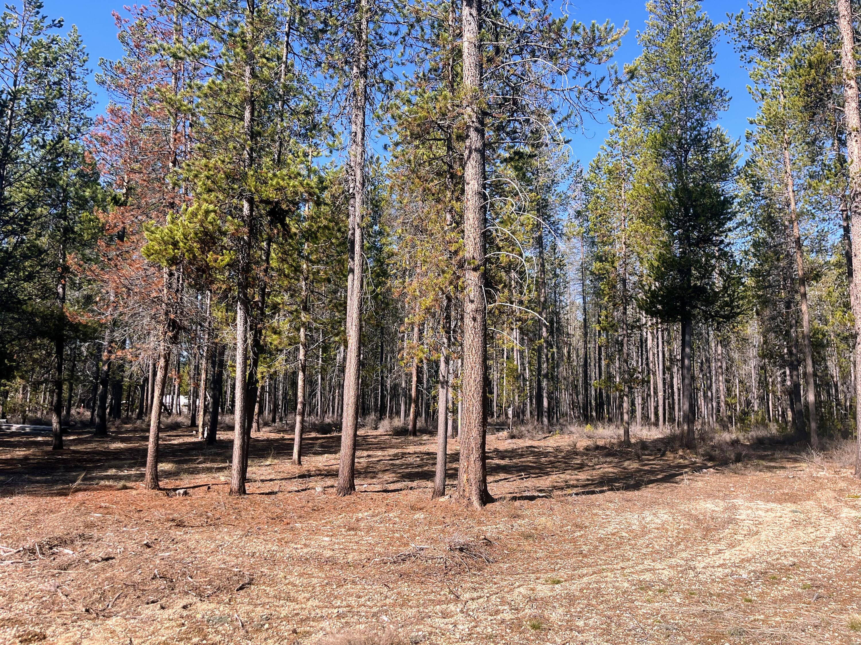 Ramey Acres Subdivision - Land