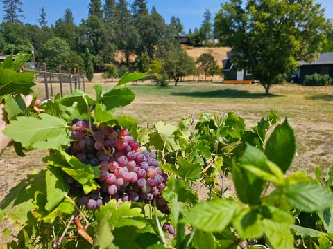 Tiny photo for 1931 Dellwood Drive, Grants Pass, OR 97526 (MLS # 220212455)