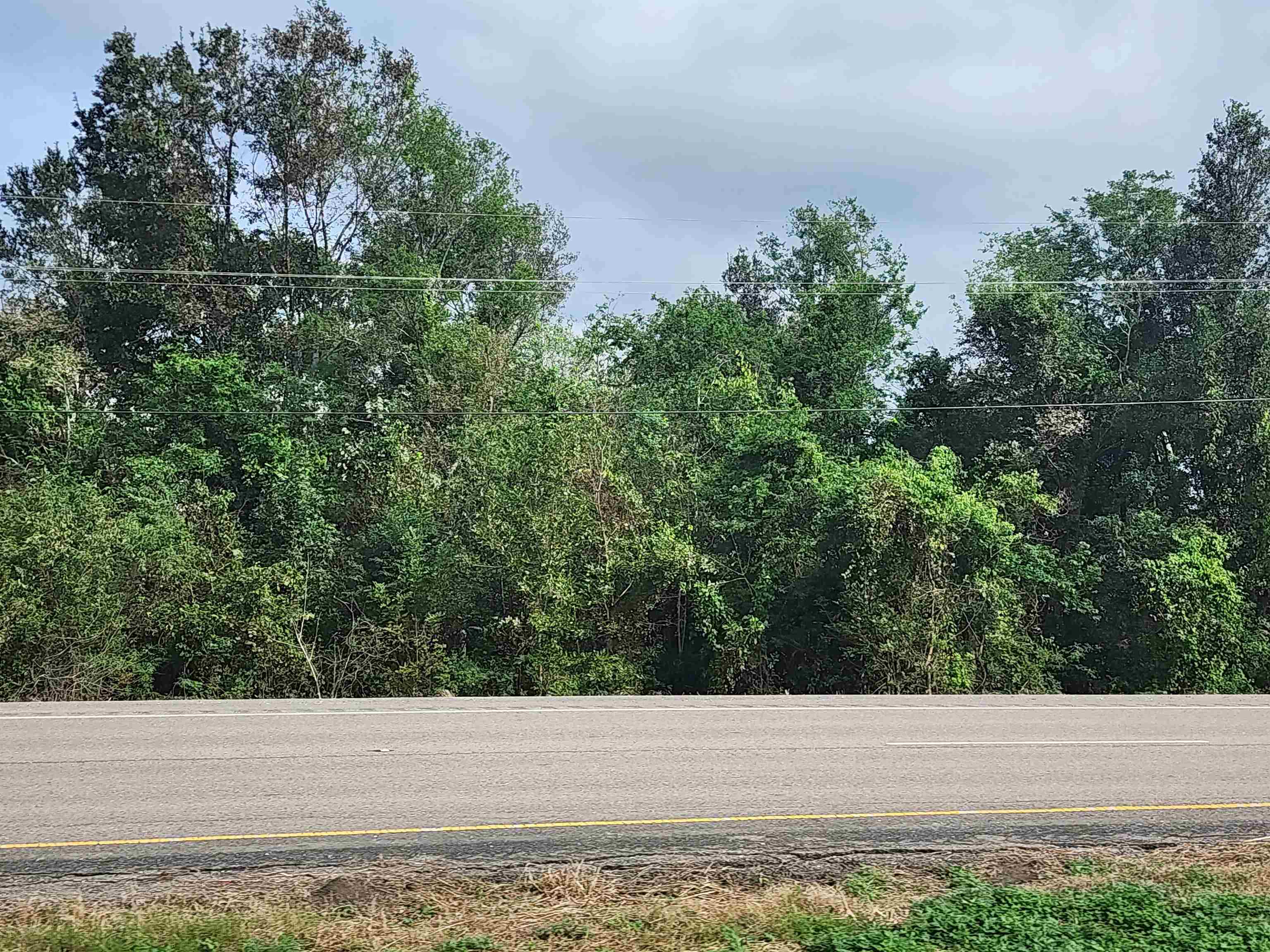 TBD Highway 3235 East, Cut Off, Louisiana image 1