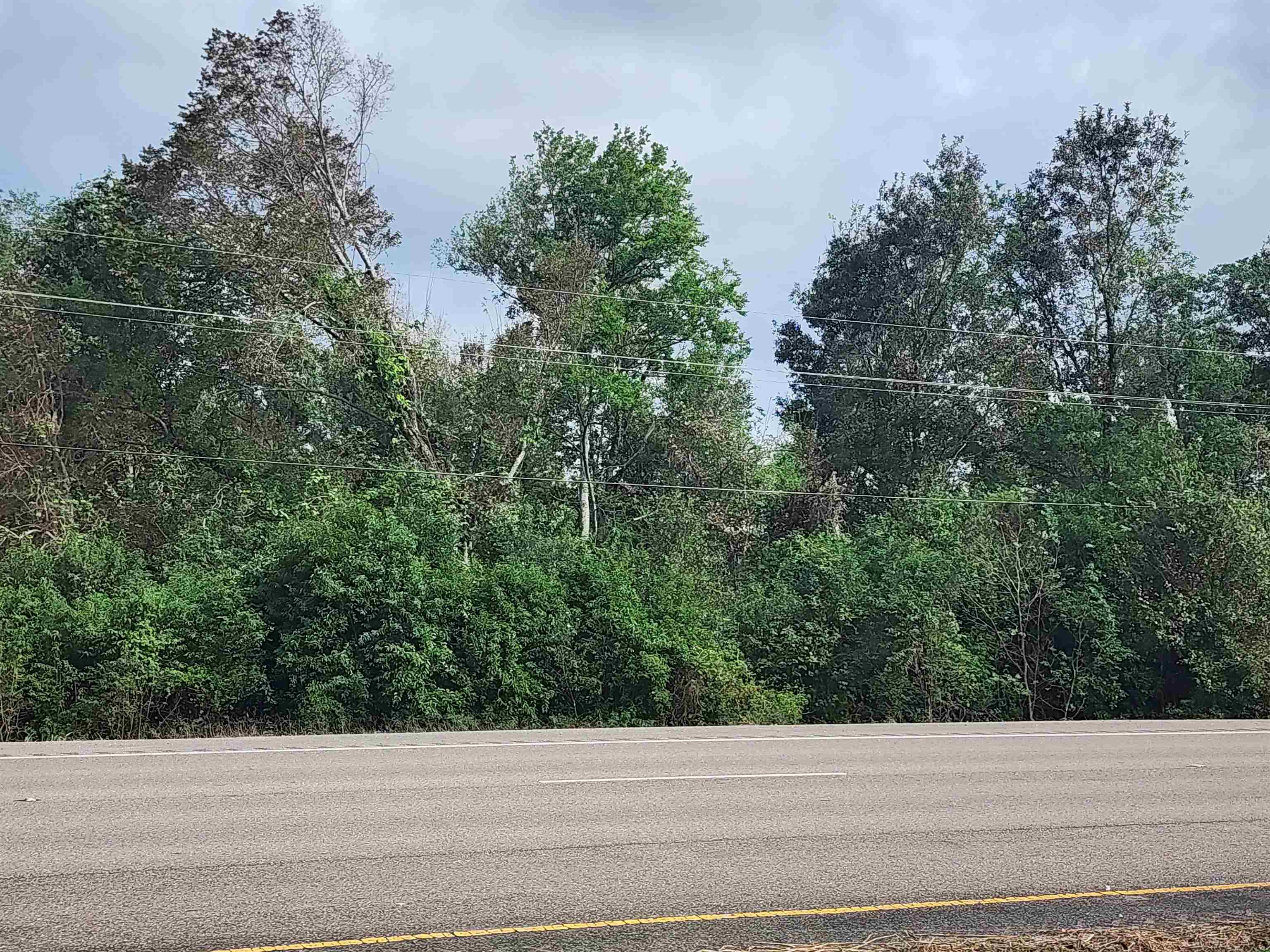 TBD Highway 3235 East, Cut Off, Louisiana image 3