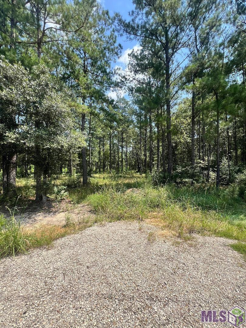 LOT 19 Frost Rd, Livingston, Louisiana image 12