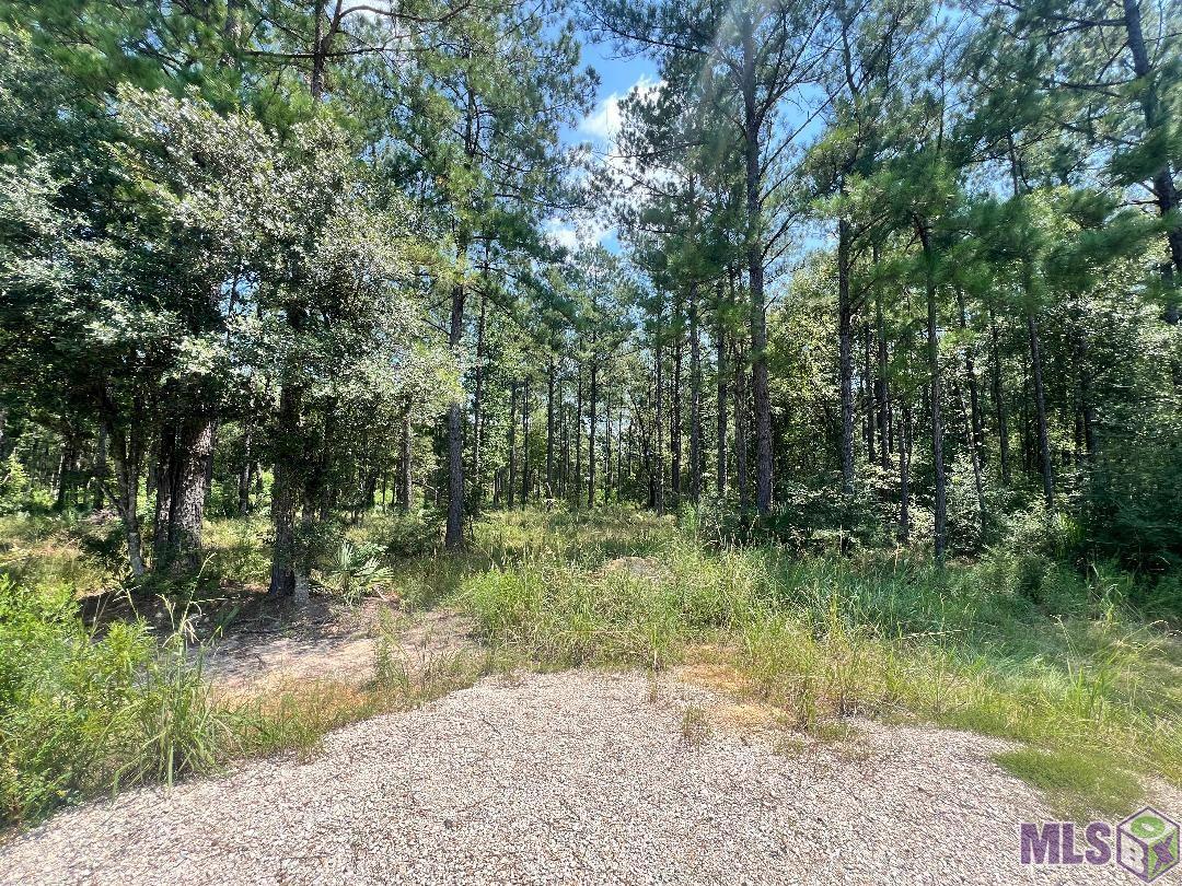 LOT 19 Frost Rd, Livingston, Louisiana image 10