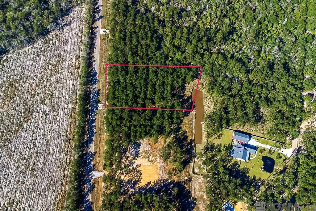 LOT 19 Frost Rd, Livingston, Louisiana image 1