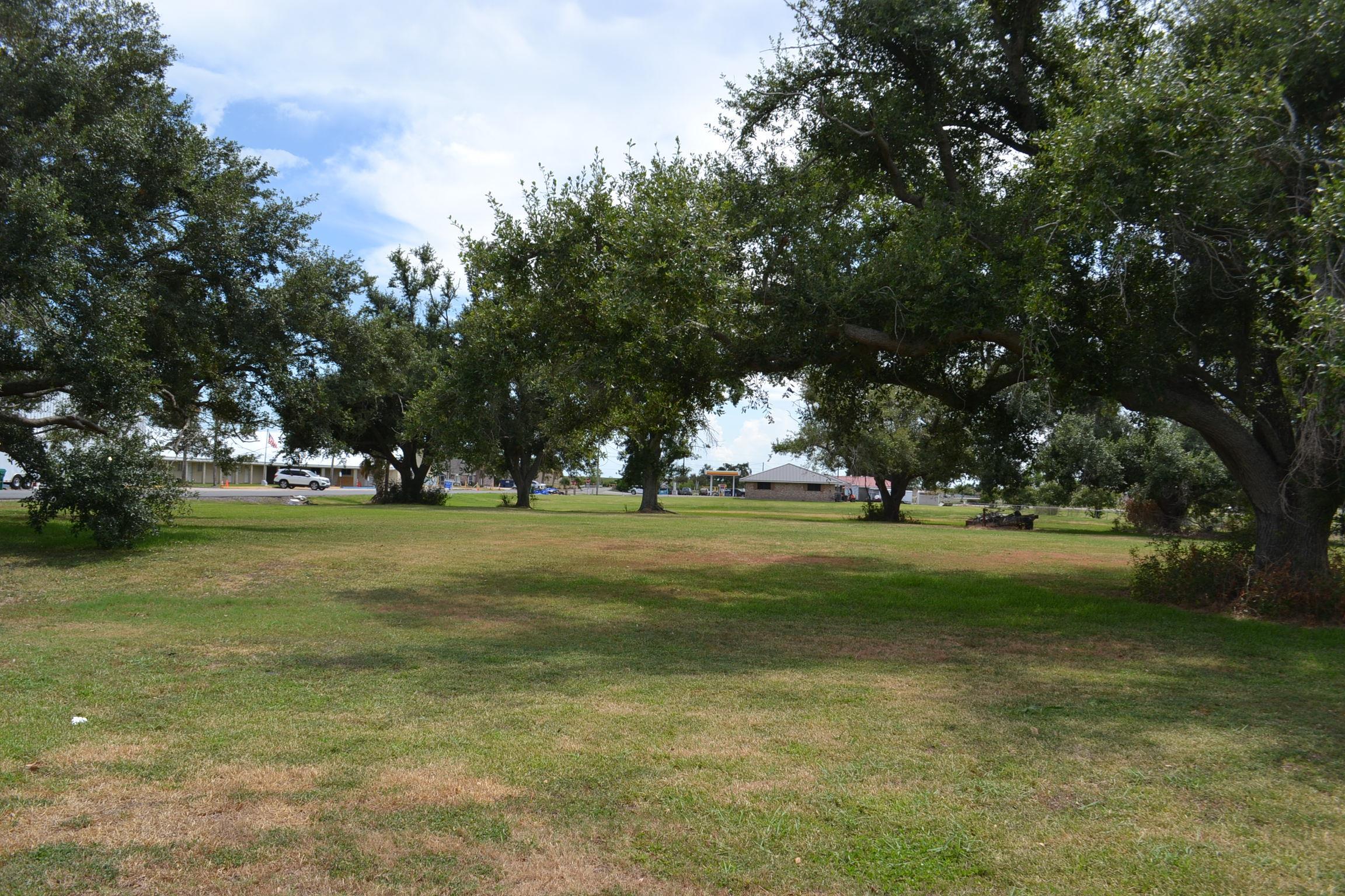 LOT 2 Oakridge Dr, Golden Meadow, Louisiana image 5