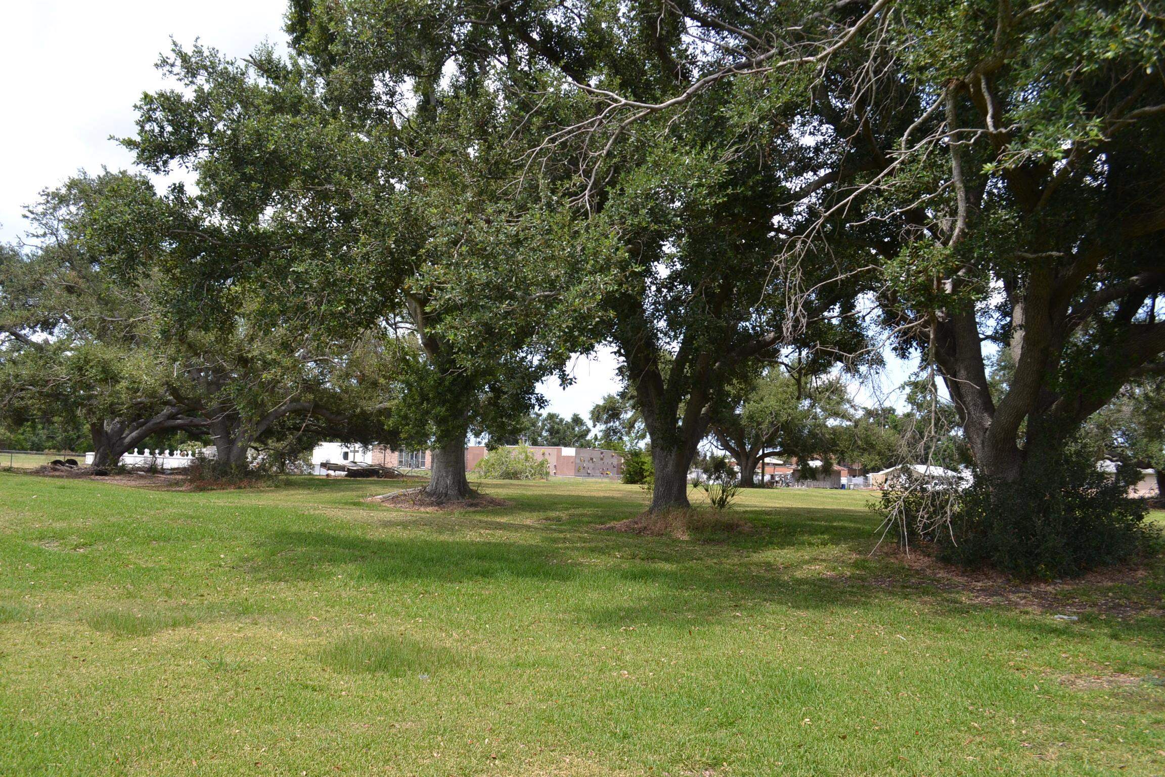 LOT 2 Oakridge Dr, Golden Meadow, Louisiana image 4