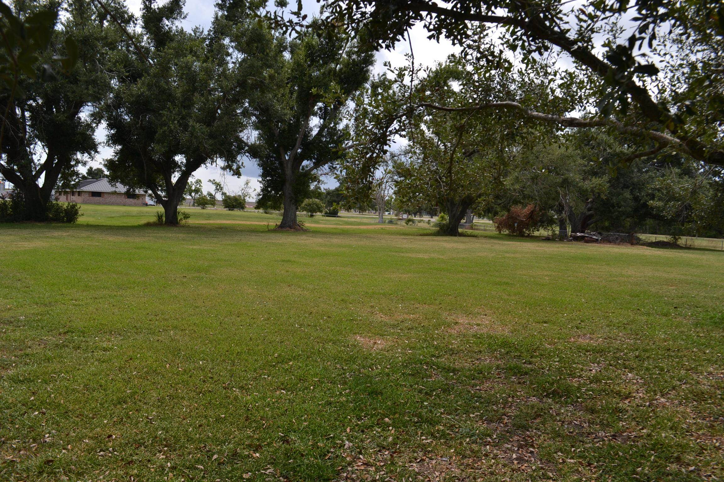 LOT 2 Oakridge Dr, Golden Meadow, Louisiana image 8