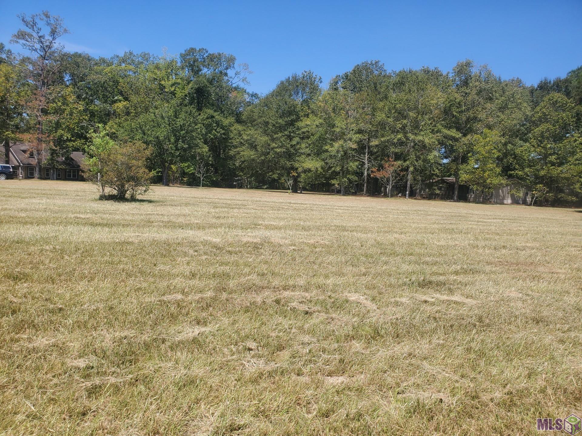 Lot D-2 Ducote Ln, Pine Grove, Louisiana image 1