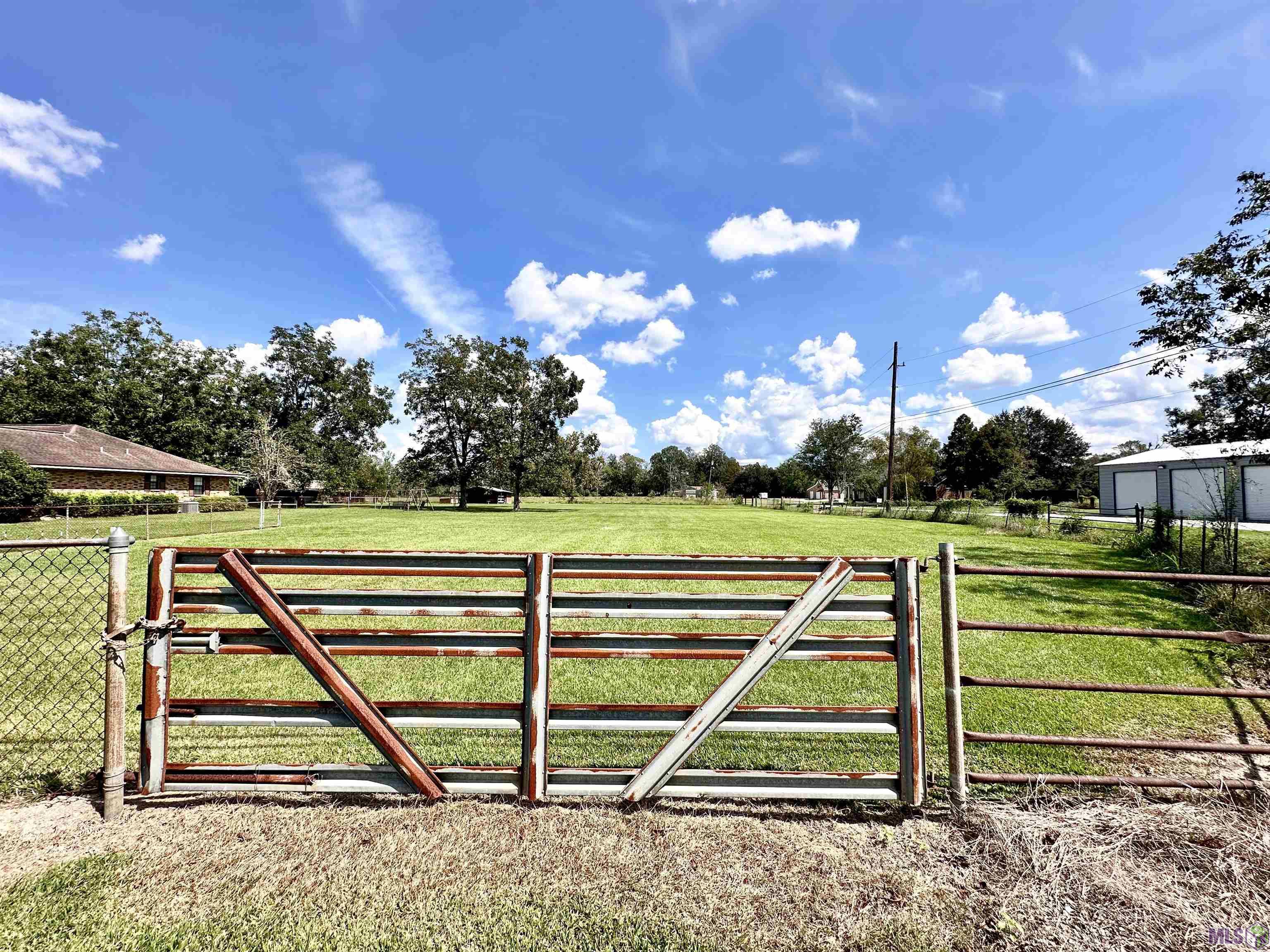 6.8 Acres La Hwy 44, Prairieville, Louisiana image 6