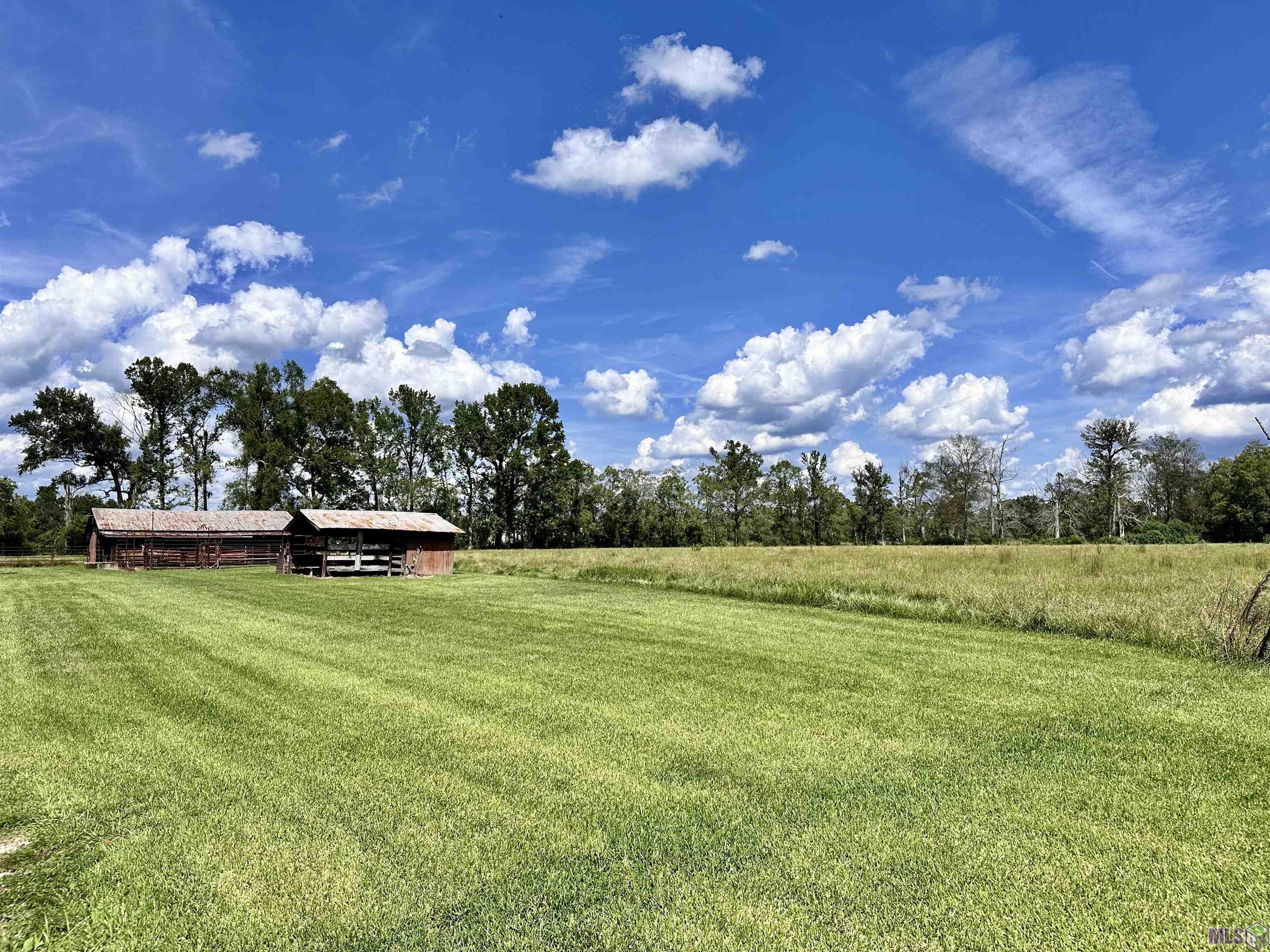 6.8 Acres La Hwy 44, Prairieville, Louisiana image 4